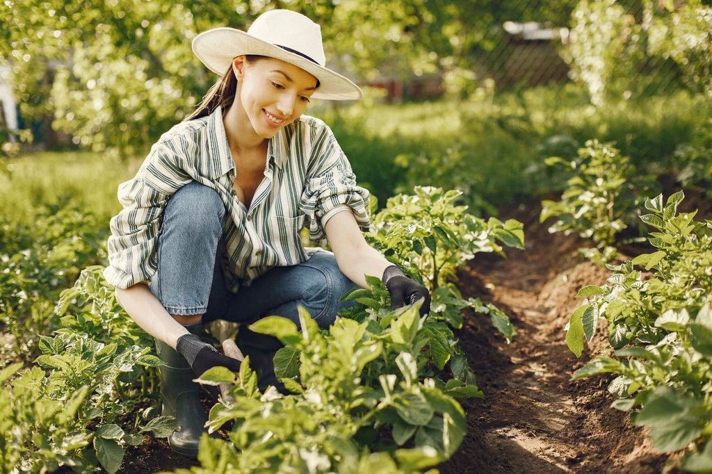 Family harvesting organic vegetables in a private kitchen garden at a Lucknow farmhouse
